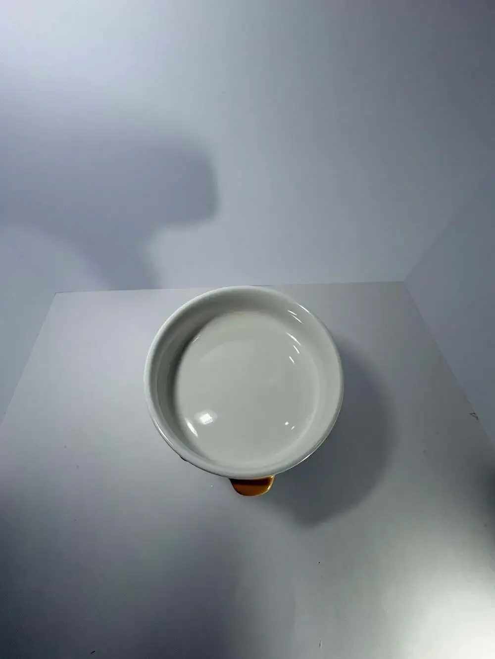 Purroom Ceramic Cute Duck/Chick Bowl